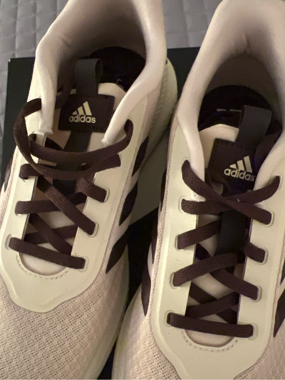 Adidas woman Sneakers - Cream & Dark Brown lace up with box